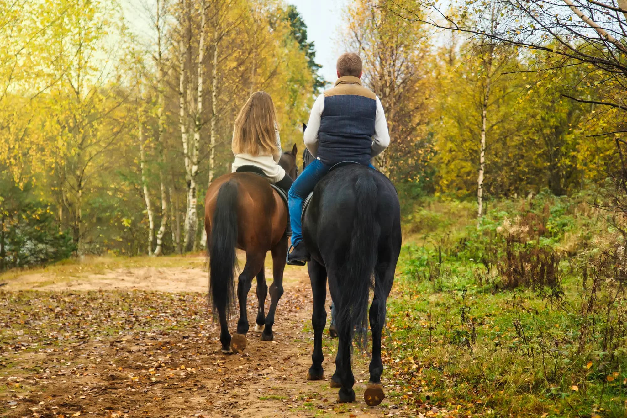 Two riders on horseback along an autumn forest trail